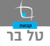 טל בר